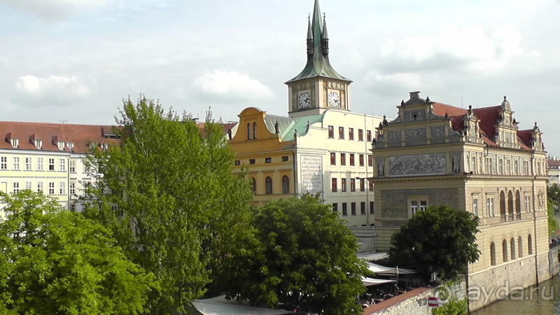 Прага, Чехия.  Лебедь под летним солнцем.