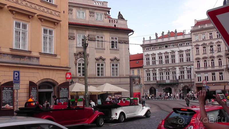 Прага, Чехия.  Лебедь под летним солнцем.