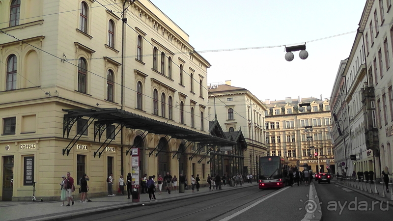 Прага, Чехия.  Лебедь под летним солнцем.