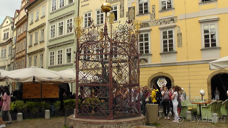 Прага, Чехия.  Лебедь под летним солнцем.