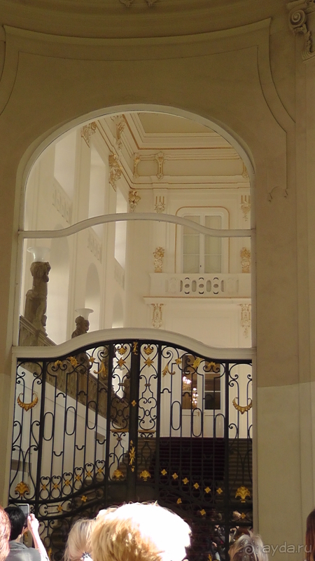 Прага, Чехия.  Лебедь под летним солнцем.