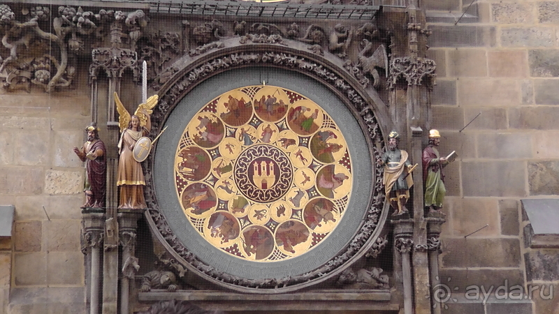 Прага, Чехия.  Лебедь под летним солнцем.