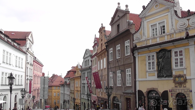 Прага, Чехия.  Лебедь под летним солнцем.