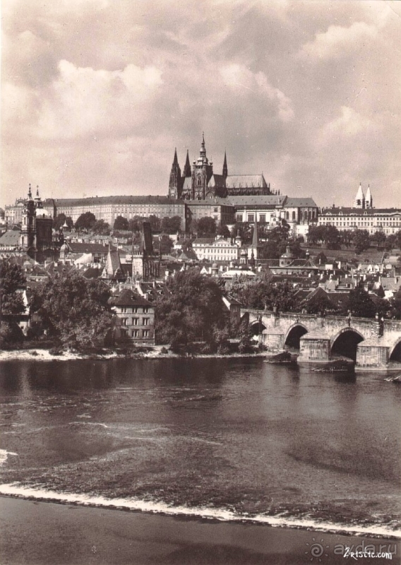 Альбом отзыва "Прага, Чехия.  Лебедь под летним солнцем."