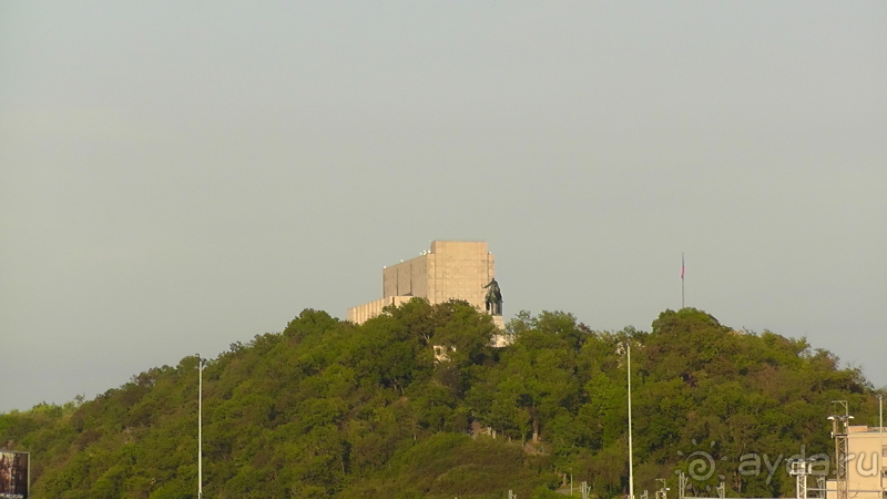 Прага, Чехия.  Лебедь под летним солнцем.