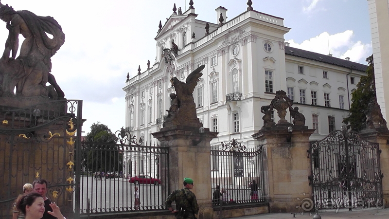 Прага, Чехия.  Лебедь под летним солнцем.