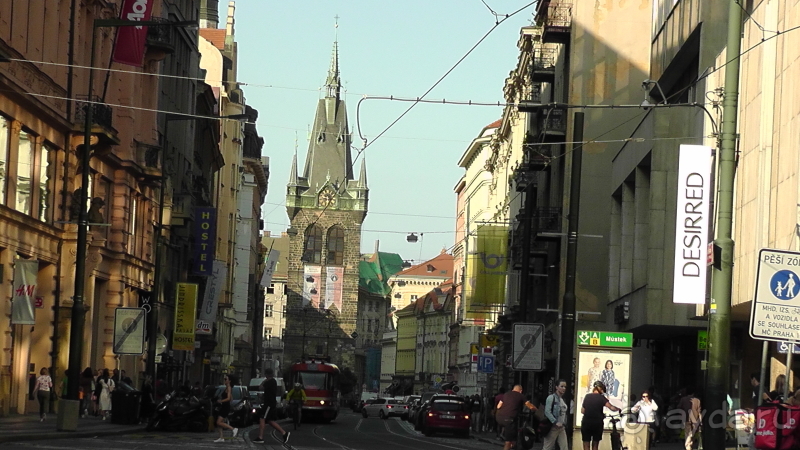 Прага, Чехия.  Лебедь под летним солнцем.