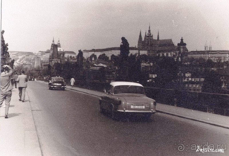 Прага, Чехия.  Лебедь под летним солнцем.