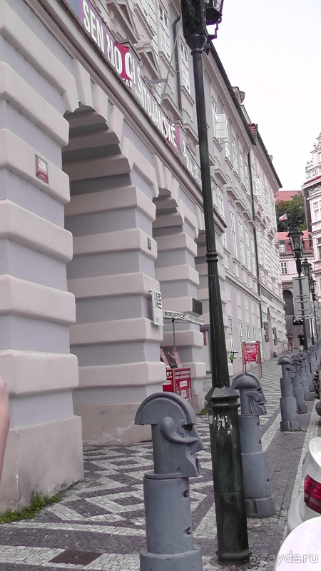 Прага, Чехия.  Лебедь под летним солнцем.