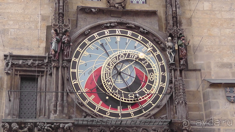 Прага, Чехия.  Лебедь под летним солнцем.