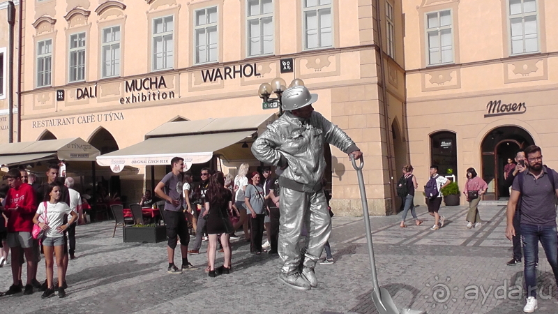 Прага, Чехия.  Лебедь под летним солнцем.