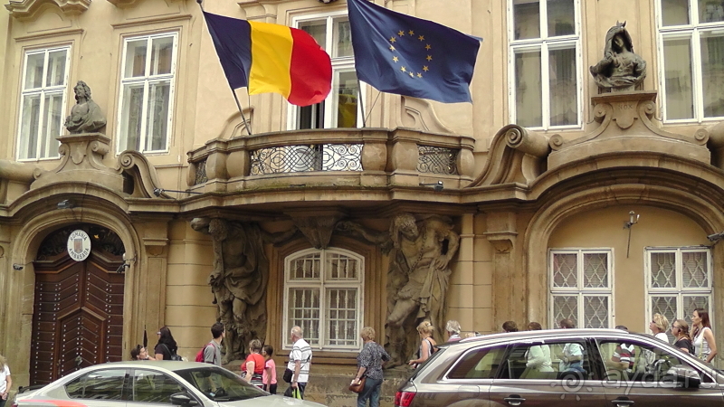 Прага, Чехия.  Лебедь под летним солнцем.