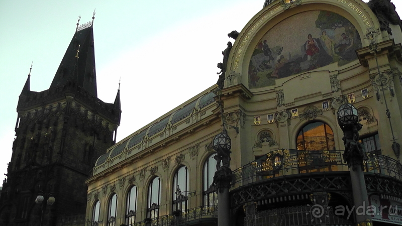 Прага, Чехия.  Лебедь под летним солнцем.