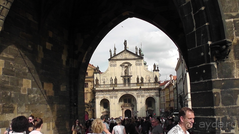 Прага, Чехия.  Лебедь под летним солнцем.