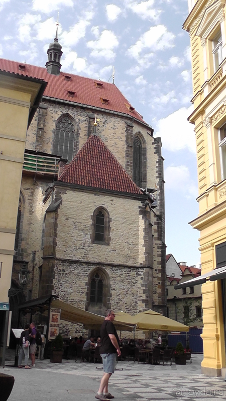 Прага, Чехия.  Лебедь под летним солнцем.