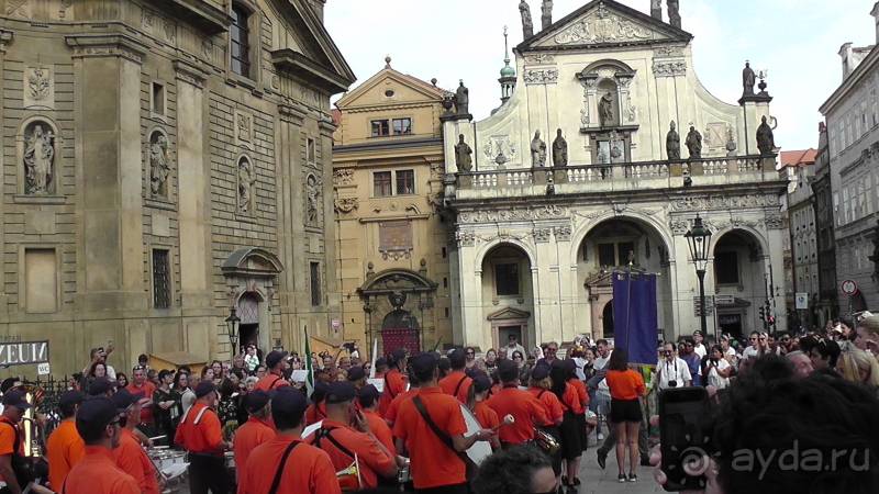 Прага, Чехия.  Лебедь под летним солнцем.