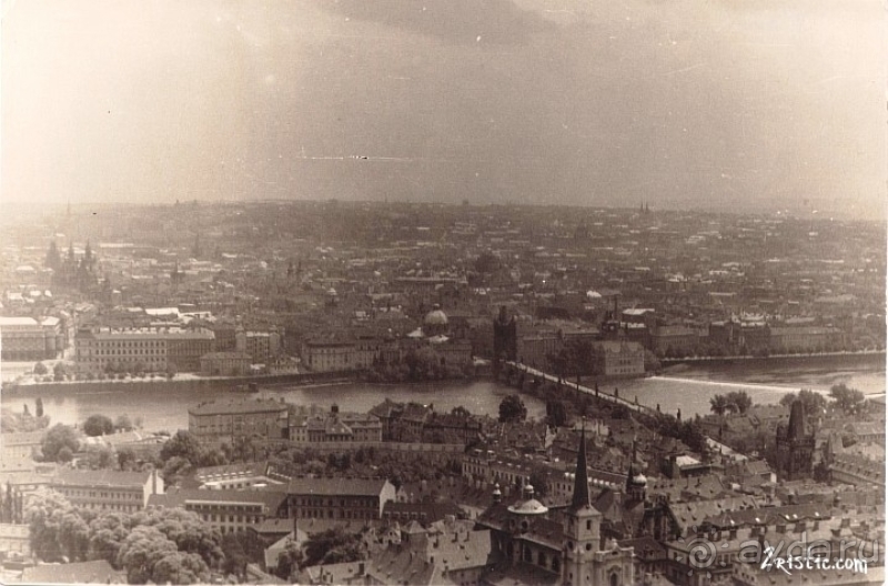 Прага, Чехия.  Лебедь под летним солнцем.