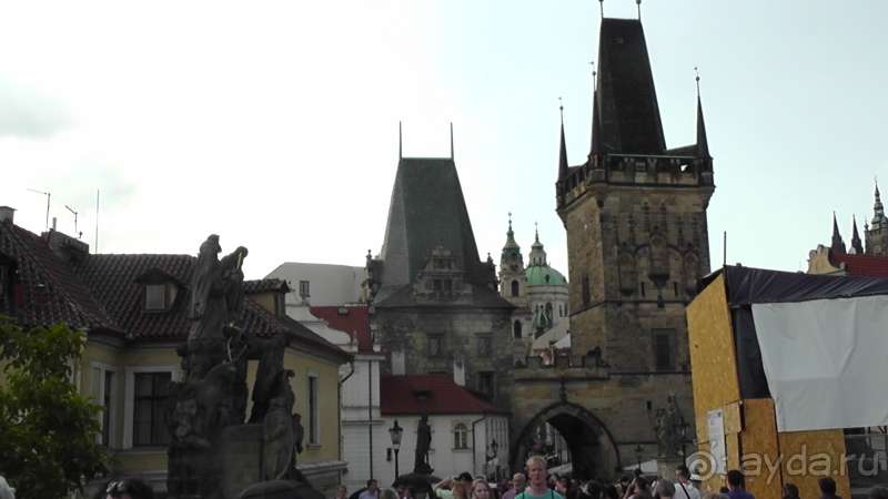 Прага, Чехия.  Лебедь под летним солнцем.