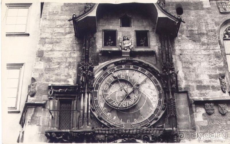 Прага, Чехия.  Лебедь под летним солнцем.