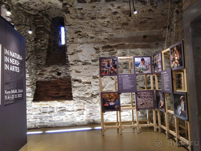 Саксония, Германия. Музей «Terra mineralia» - чертог мерцающих камней.