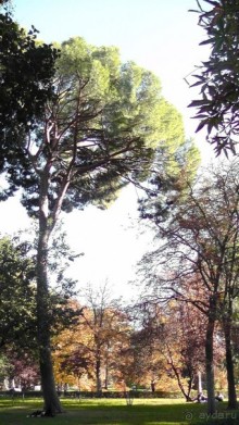 Мадрид. «Вы прекрасны, мой король!». День второй.