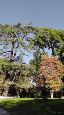 Мадрид. «Вы прекрасны, мой король!». День второй.