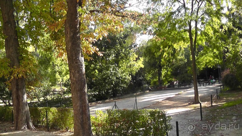 Мадрид. «Вы прекрасны, мой король!». День второй.