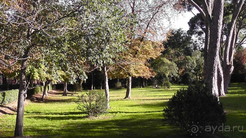 Мадрид. «Вы прекрасны, мой король!». День второй.