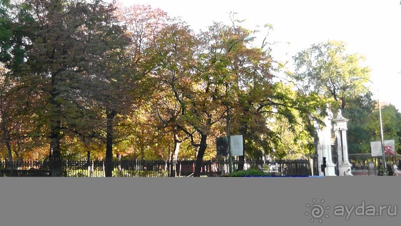 Мадрид. «Вы прекрасны, мой король!». День второй.