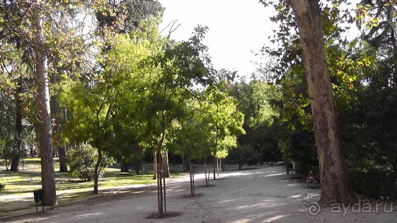 Мадрид. «Вы прекрасны, мой король!». День второй.