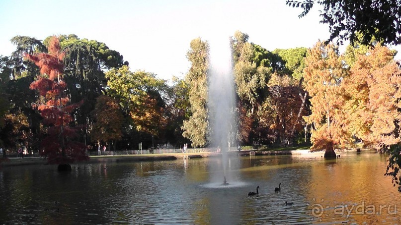 Мадрид. «Вы прекрасны, мой король!». День второй.