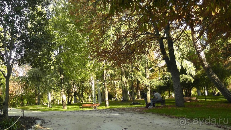 Мадрид. «Вы прекрасны, мой король!». День второй.