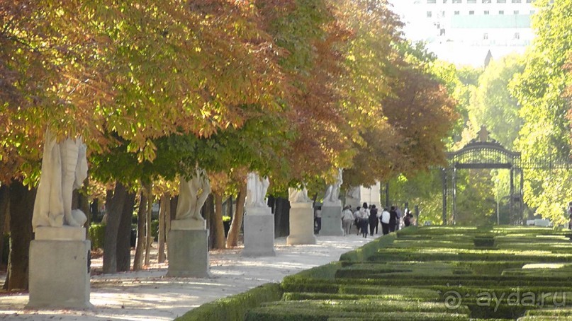 Мадрид. «Вы прекрасны, мой король!». День второй.