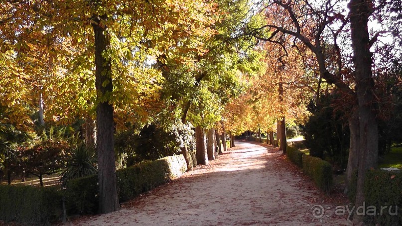 Мадрид. «Вы прекрасны, мой король!». День второй.