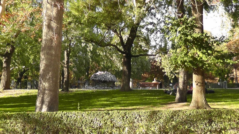 Мадрид. «Вы прекрасны, мой король!». День второй.