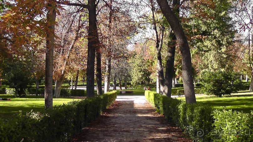 Мадрид. «Вы прекрасны, мой король!». День второй.