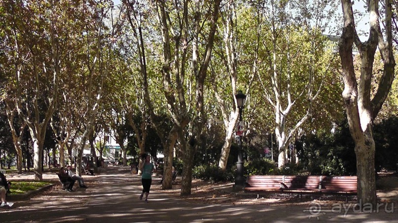 Мадрид. «Вы прекрасны, мой король!». День второй.