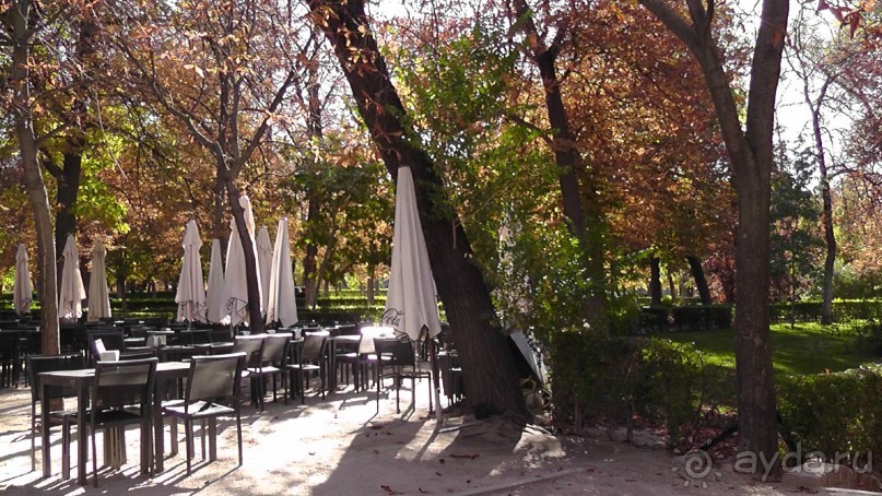 Мадрид. «Вы прекрасны, мой король!». День второй.