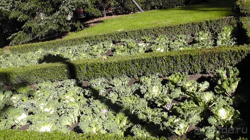 Мадрид. «Вы прекрасны, мой король!». День второй.
