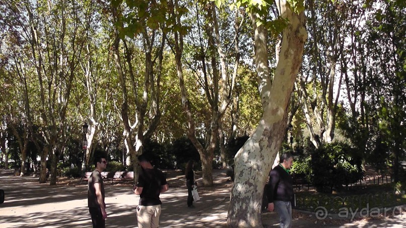 Мадрид. «Вы прекрасны, мой король!». День второй.