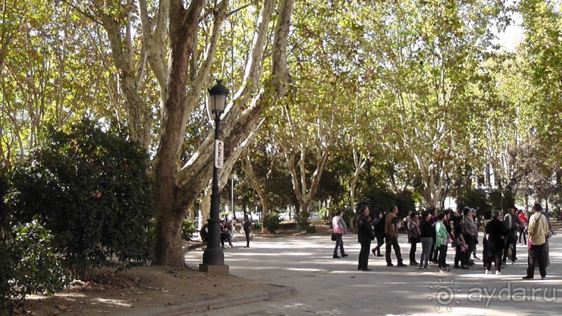 Мадрид. «Вы прекрасны, мой король!». День второй.