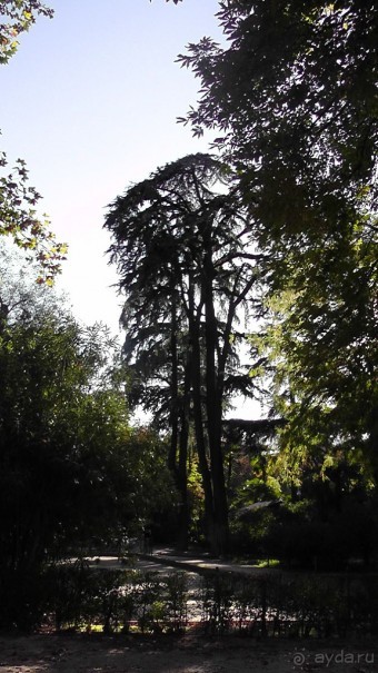 Мадрид. «Вы прекрасны, мой король!». День второй.