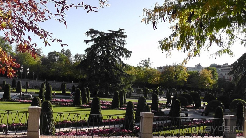 Мадрид. «Вы прекрасны, мой король!». День второй.