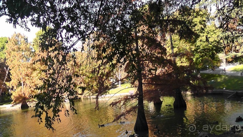 Мадрид. «Вы прекрасны, мой король!». День второй.