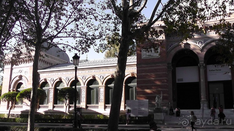 Мадрид. «Вы прекрасны, мой король!». День второй.