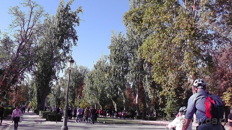 Мадрид. «Вы прекрасны, мой король!». День второй.