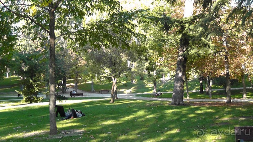 Мадрид. «Вы прекрасны, мой король!». День второй.