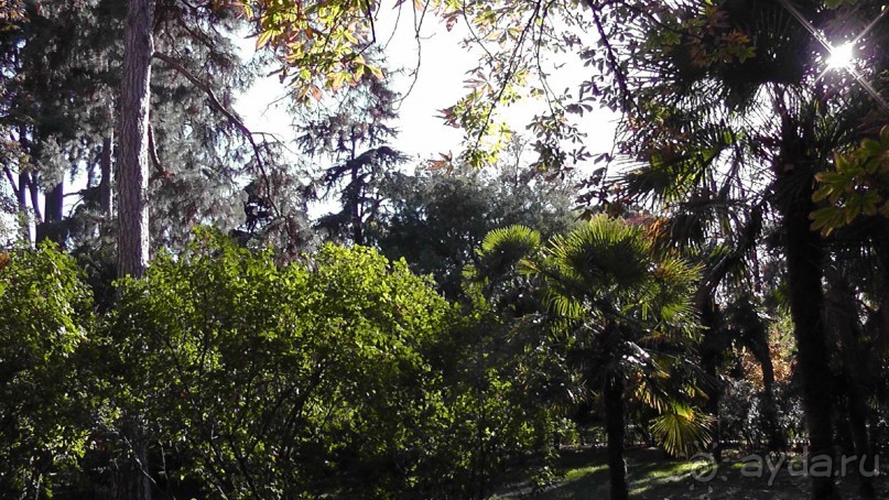 Мадрид. «Вы прекрасны, мой король!». День второй.