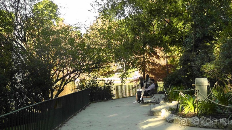 Мадрид. «Вы прекрасны, мой король!». День второй.