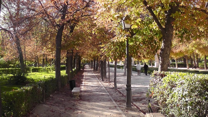 Мадрид. «Вы прекрасны, мой король!». День второй.